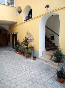 a courtyard of a building with potted plants at MSH Rustic apartment - Liars Bridge Sibiu in Sibiu