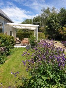 DuntroonにあるWindhaven Bed & Breakfastの紫の花とパーゴラのある庭園
