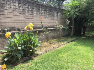 グアダラハラにあるCasa del Retoñoの黄色い花とレンガの壁の庭園