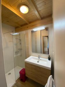La salle de bains est pourvue d'un lavabo et d'une douche. dans l'établissement Le Cocon de Curson chambre d'hôtes, à Chanos-Curson