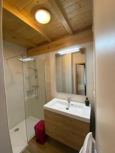 a bathroom with a sink and a shower at Le Cocon de Curson chambre d'hôtes in Chanos-Curson