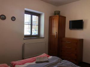 1 dormitorio con 1 cama, vestidor y TV en Horalka en Demanovska Dolina