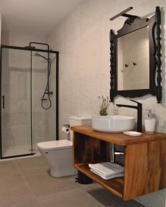 a bathroom with a sink and a toilet and a mirror at Gandarela Turismo Rural in Ourense