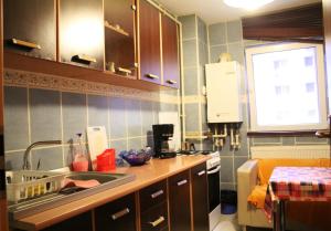 cocina con fregadero y encimera en Vitan modern apartment, sleeps 4, en Bucarest