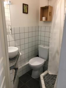 La salle de bains est pourvue de toilettes et d'un lavabo. dans l'établissement Hotel Axat, à Axat