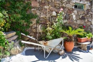 Zahrada ubytování Traditional Cycladic House