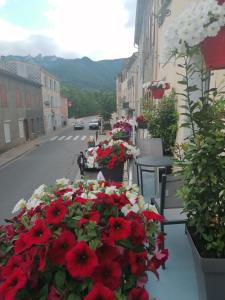 a bunch of red and white flowers on a street at Hotel Axat in Axat