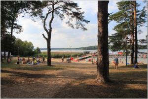 a group of people on a beach with trees at Rodzinny dom. in Augustów
