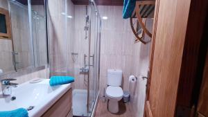 a bathroom with a shower and a toilet and a sink at Casa las Estrellas in Agua de Bueyes