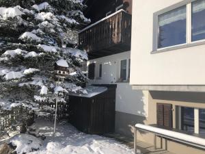 維爾德豪斯的住宿－Chalet Höckli Wildhaus，房子前面的雪覆盖的树
