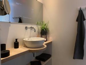 a bathroom with a bowl sink on a wooden shelf at Mooiverblijf in Oosterwolde