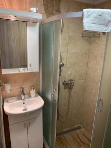 a bathroom with a shower and a sink at Apartmani Ristanović in Zlatibor