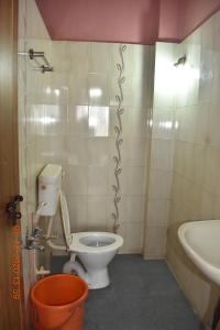 ein kleines Badezimmer mit Toilette und Waschbecken in der Unterkunft Doctors Heritage Lodge in Sringeri + 4 Fotos