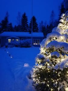 a christmas tree covered in snow with lights at Arctic Circle Tranquillity in Rovaniemi