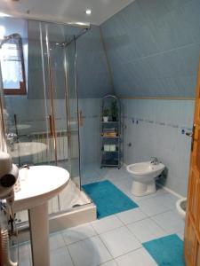 a bathroom with a shower and a toilet and a sink at Pokoje u Pawloka in Ciche +9 photos