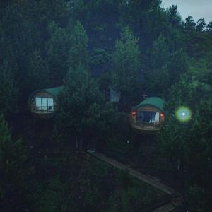 dos casas con luces encendidas en los árboles por la noche en Costa Azul Ecolodge, en Aquitania