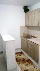a kitchen with a sink and a counter with a rug at Apartman Jevtić 2 in Gornja Toplica