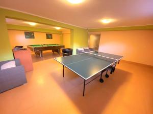 a ping pong table in a room with a pool table at Vila Cristal in Baile Felix