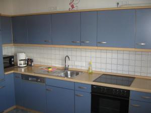 a kitchen with blue cabinets and a sink at Ferienwohnung Sauerland Panorama in Korbach