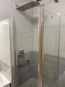 y baño con ducha y puerta de cristal. en Noszvaj Elite Apartman en Noszvaj