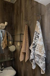 een badkamer met handdoeken aan een houten muur bij Stadslogement de Wolkeamer in Drachten