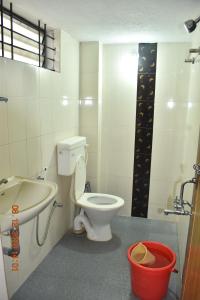 a bathroom with a toilet and a sink and a bucket at Doctors Heritage Lodge in Sringeri
