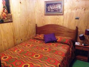 a bedroom with a bed in a wooden room at Hostel 1760 in Talca +37 photos