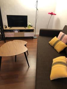 ein Wohnzimmer mit Sofa und Fernseher in der Unterkunft Appartement cosy, en rez de chaussée, en plein centre de CAmbo les Bains in Cambo-les-Bains