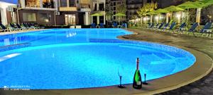 a large swimming pool with a bottle of wine in it at Diamond Palace in Sunny Beach