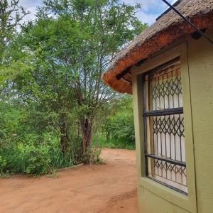 a window on the side of a house with trees at Rhumbini Lodge in Malamulele