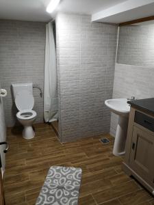 a bathroom with a toilet and a sink at Casa Livada Bunicii in Târgu Ocna