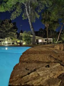 撒尼海灘的住宿－Sani Villa Maria，一座树木繁茂的夜间游泳池
