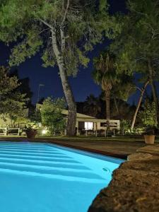 撒尼海灘的住宿－Sani Villa Maria，蓝色的游泳池,后面有树