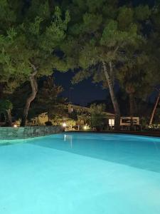 撒尼海灘的住宿－Sani Villa Maria，一座树木繁茂的大型游泳池
