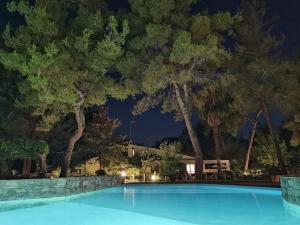 撒尼海灘的住宿－Sani Villa Maria，树木繁茂的游泳池