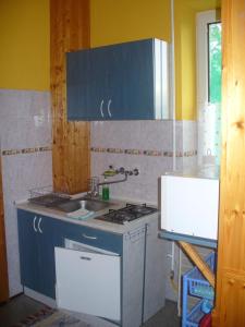 cocina pequeña con fregadero y fogones en Pleiveisz Apartman, en Sárvár