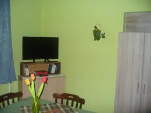una habitación con una mesa con TV y un jarrón con flores en Pleiveisz Apartman, en Sárvár