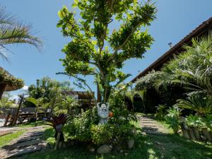un árbol en medio de un jardín en Pousada Cabanas Kaia Lua, en Praia do Rosa