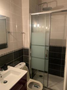 een badkamer met een douche, een toilet en een wastafel bij Appartement centre Fontainebleau in Fontainebleau