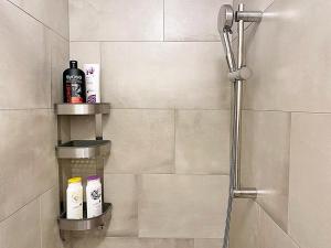a bathroom with a shower with a bottle of shampoo at Gemütlich-zentral, 30m2, mit Parkplatz - A212 in St. Moritz +23 photos