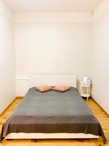 Gallery image of Lossi 32 Apartment in Tartu