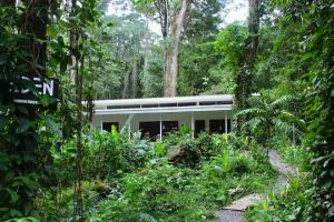 a building in the middle of a forest at Casa Eden - Modern Peaceful Jungle Apartments in Cocles