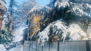 Mahaveer Shimla By Royal Collection Hotels v zimě
