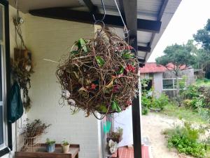 a bird nest hanging on the side of a house at Travelers House おーさんてぃん青空舎 in Taketomi