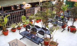 um grupo de cadeiras sentadas numa varanda com plantas em Shila International em Calcutá