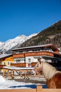 un cavallo in piedi di fronte a un edificio nella neve di Landhaus Martinus a Sölden