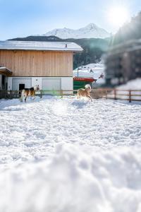 Obiekt Landhaus Martinus zimą