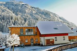 a house in the snow with a mountain in the background at Landhaus Riesneralm in Donnersbachwald