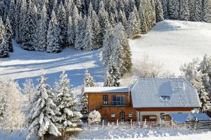 a house in the snow with snow covered trees at Landhaus Riesneralm in Donnersbachwald