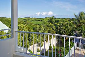 Naturlandskabet i nærheden af lejligheden